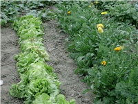 4bb59976-Picture 044.jpg